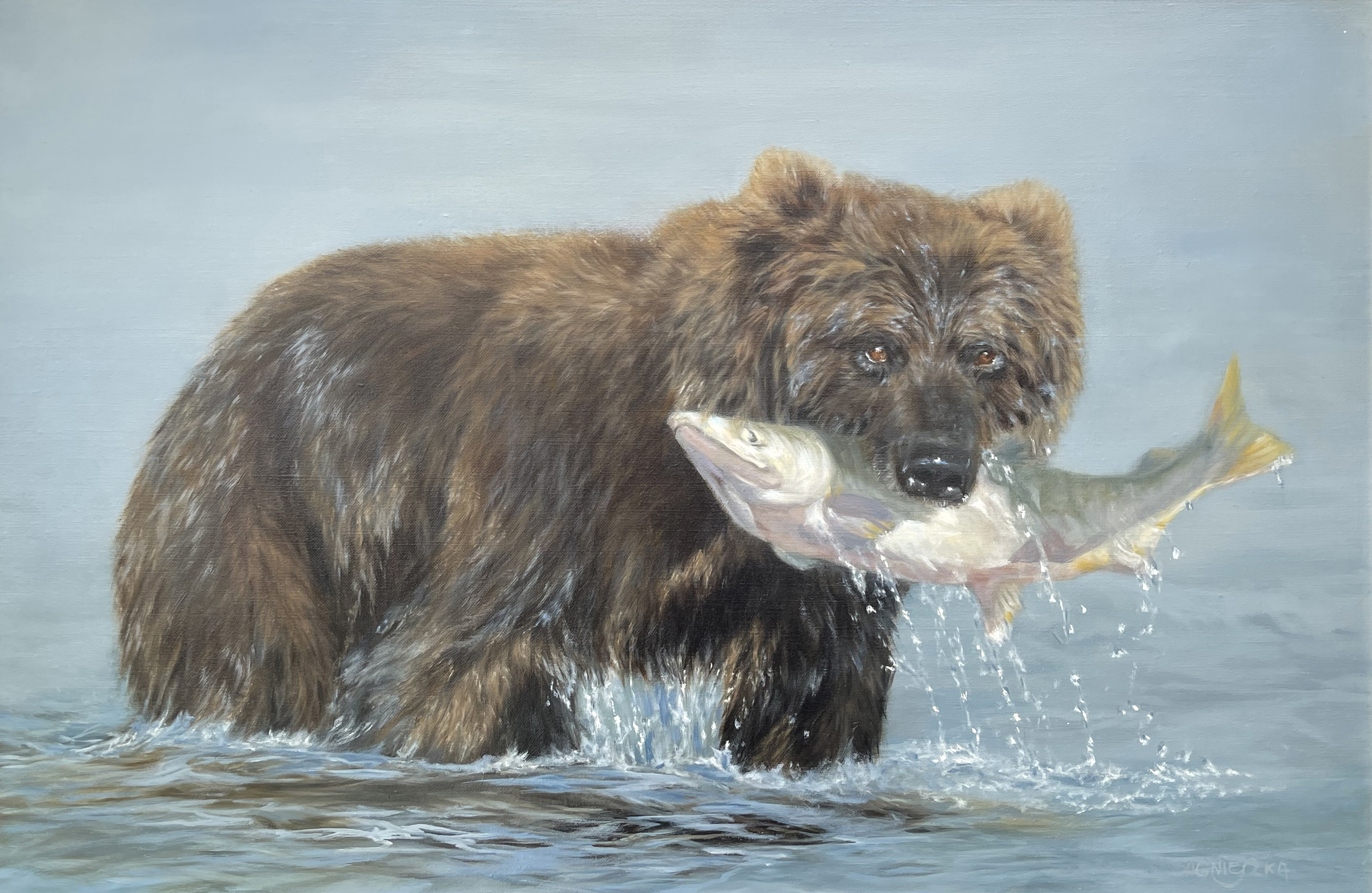 Catch of the Day